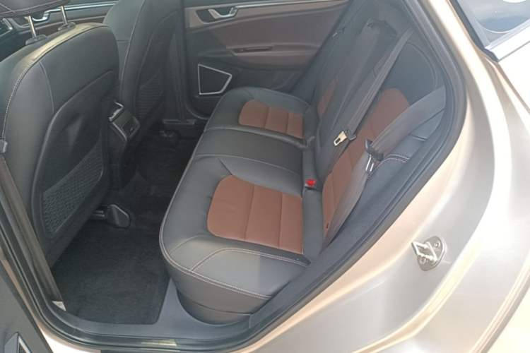 Used Geely Auto Emgrand GS 2016 Elegant Edition 1.3T Automatic ZhenShang Model Left Rear Seat