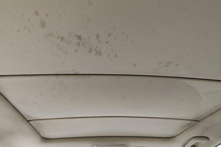 Used Geely Auto Emgrand GS 2018 Sport Edition 1.4T Automatic LingShang Model Headliner