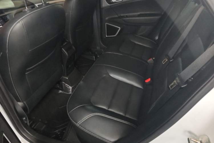 Used Geely Auto Emgrand GS 2018 Lingchao Edition 1.4T Automatic LingShang Smart Connectivity Model Left Rear Seat