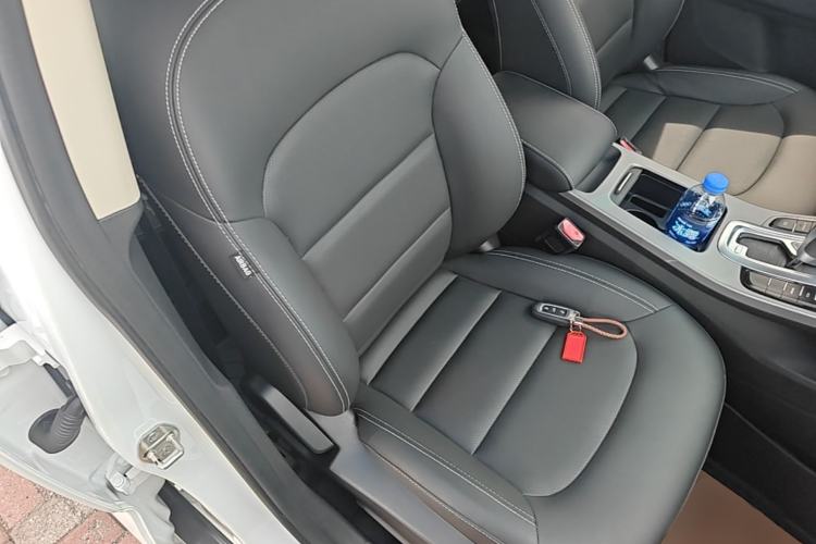 Used Geely Auto Emgrand GS 2018 Lingchao Edition 1.4T Automatic LingShang Smart Connectivity Model Right Front Seat