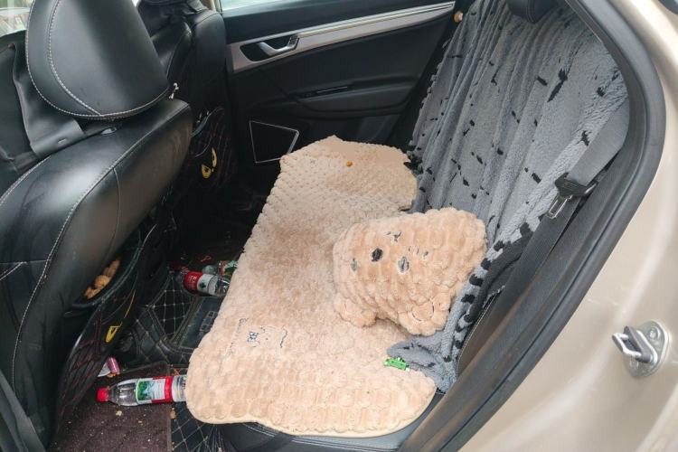 Used Geely Auto Emgrand GS 2019 1.5TD DCT Active 260T Left Rear Seat