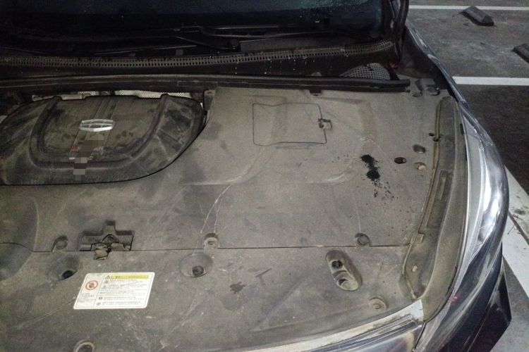 Used Geely Auto Emgrand GS 2019 1.5TD DCT Active 260T Engine Bay Left