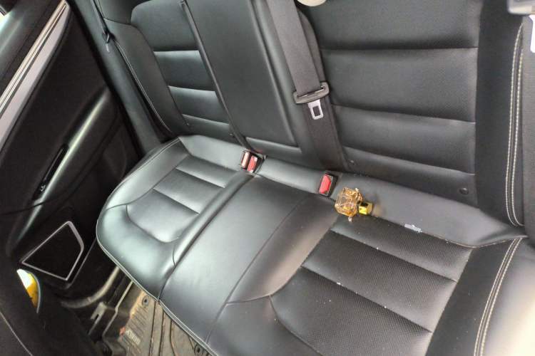 Used Geely Auto Emgrand GS 2019 1.4T CVT Active Left Rear Seat