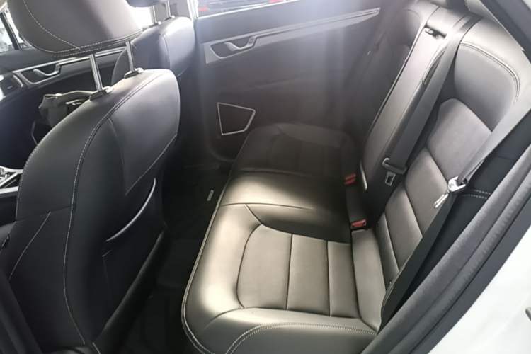 Used Geely Auto Emgrand GS 2019 1.4T CVT Edition Left Rear Seat