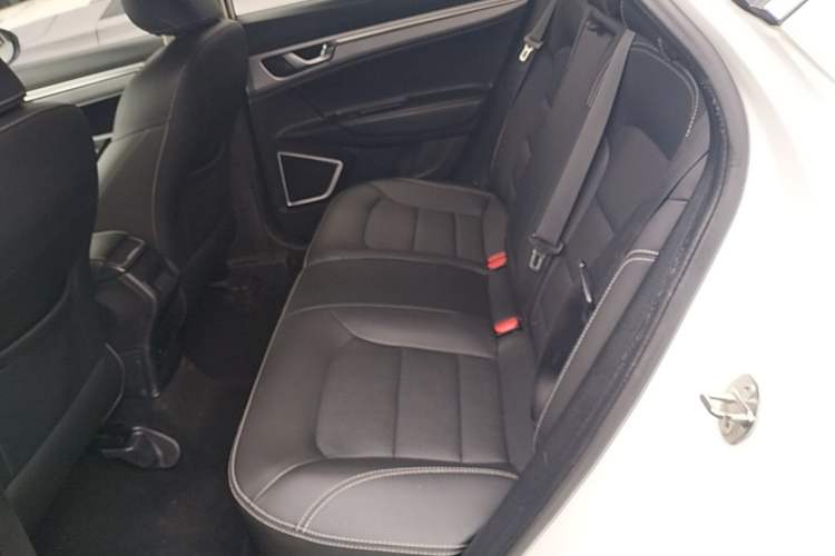 Used Geely Auto Emgrand GS 2019 1.4T Manual Ya Left Rear Seat