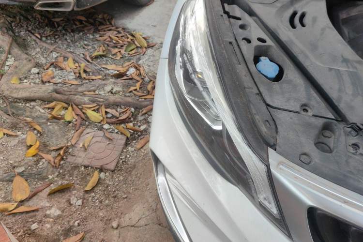 Used Geely Auto Emgrand GS 2019 1.5TD DCT Active 260T Right Front Headlight