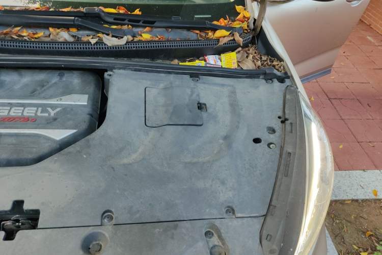 Used Geely Auto Emgrand GS 2019 1.4T CVT Active Engine Bay Left