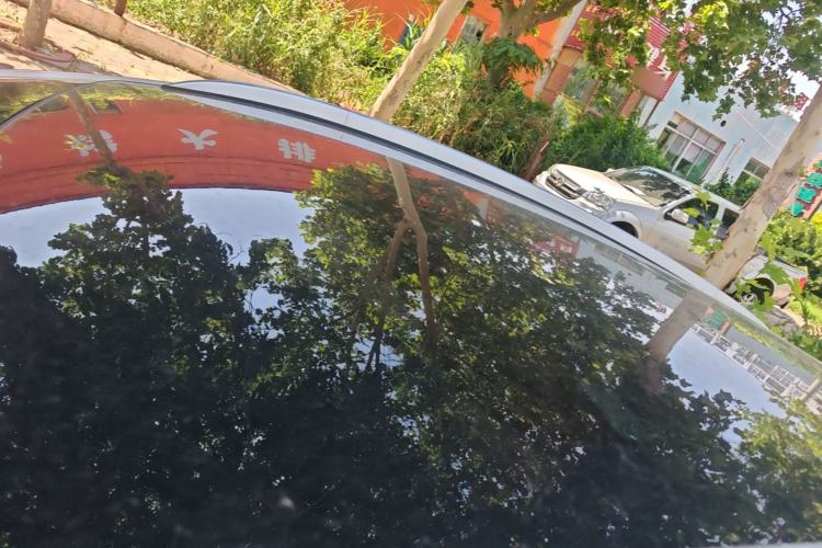 Used Geely Auto Emgrand GS 2019 1.5TD DCT Active 260T Roof