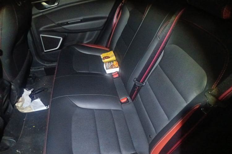 Used Geely Auto Emgrand GS 2020 1.4T CVT Ya Left Rear Seat