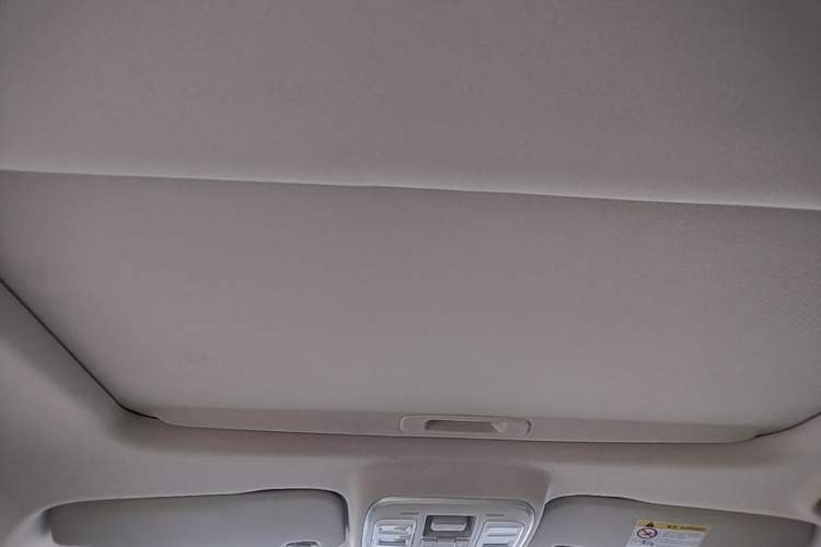 Used Geely Auto Emgrand GS 2020 1.4T CVT Ya Headliner