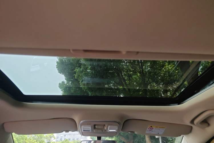 Used Geely Auto Emgrand GS 2020 1.4T CVT Ya Headliner