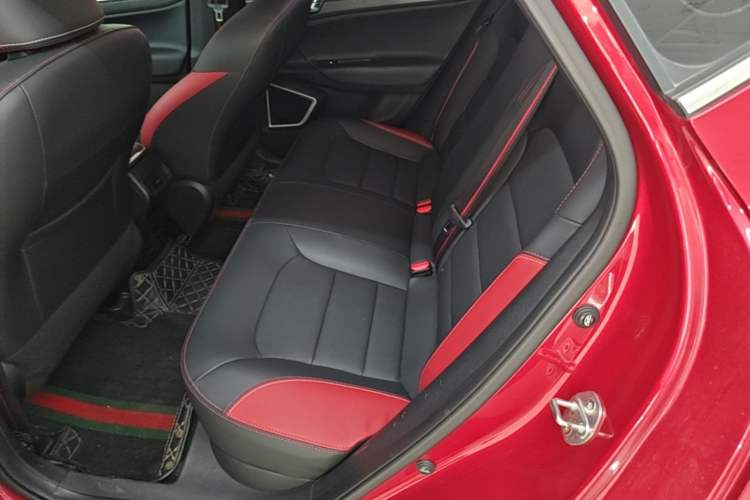 Used Geely Auto Emgrand GS 2020 1.4T CVT Ya Left Rear Seat