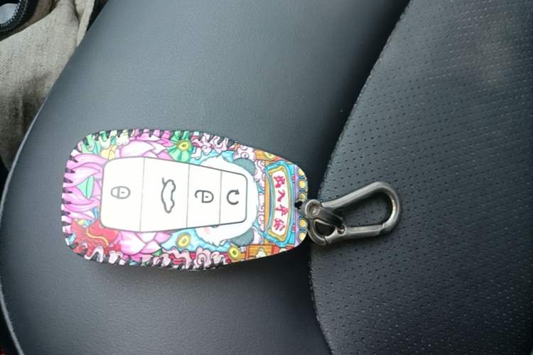 Used Geely Auto Emgrand GS 2020 1.4T CVT Ya Vehicle Key