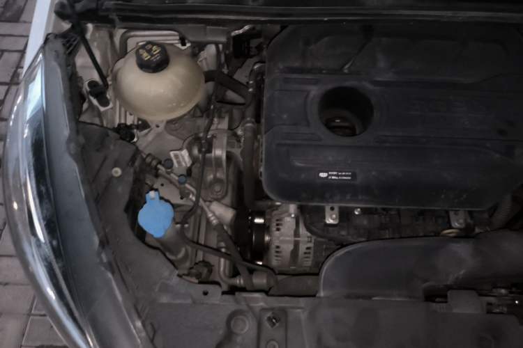 Used Geely Auto Emgrand GS 2020 1.4T CVT Ya Engine Bay Right