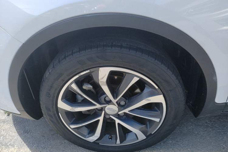 Used Geely Auto Emgrand GS 2020 1.4T CVT Ya Exterior 4