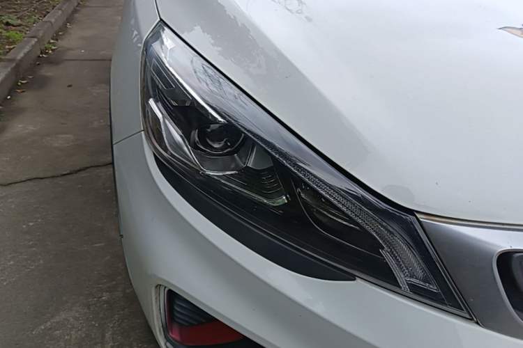 Used Geely Auto Emgrand GS 2020 1.4T CVT Ya Exterior 6