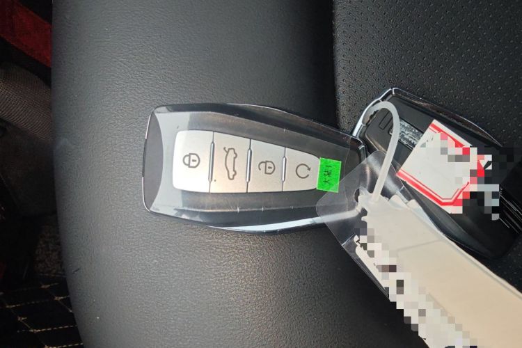 Used Geely Auto Emgrand GS 2020 1.4T CVT Ya Interior 1