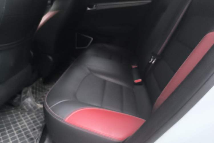 Used Geely Auto Emgrand GS 2020 1.4T CVT Ya Left Rear Seat