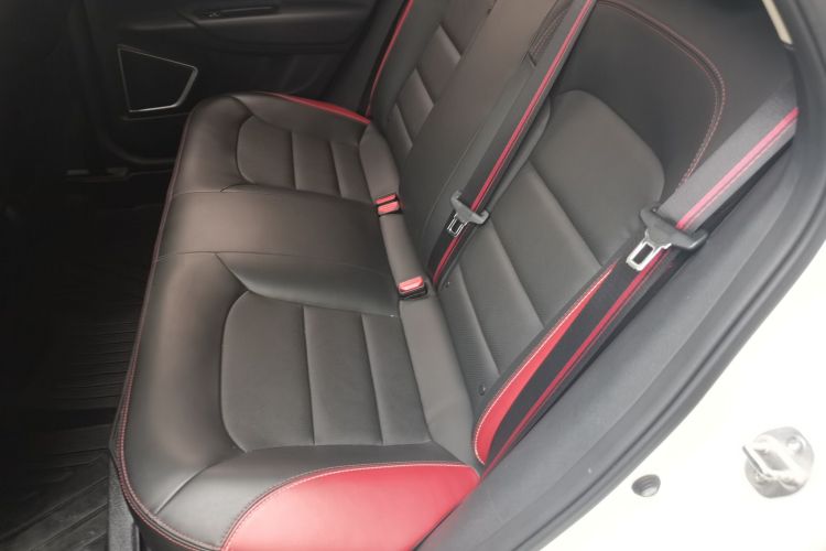 Used Geely Auto Emgrand GS 2020 1.4T CVT Ya Left Rear Seat