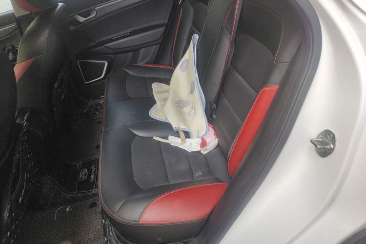 Used Geely Auto Emgrand GS 2020 1.4T CVT Ya Left Rear Seat