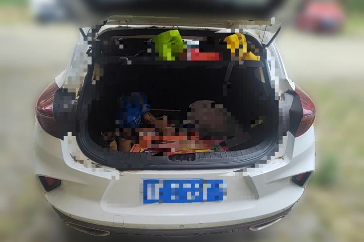 Used Geely Auto Emgrand GS 2020 1.4T CVT Ya Trunk