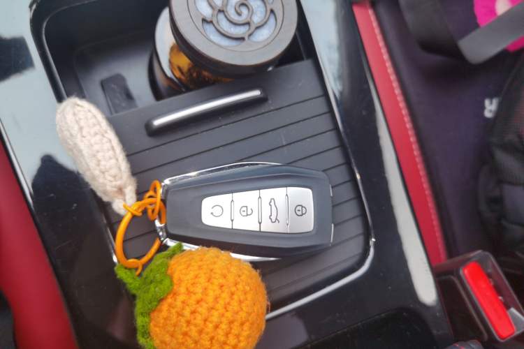 Used Geely Auto Emgrand GS 2020 1.4T CVT Ya Vehicle Key