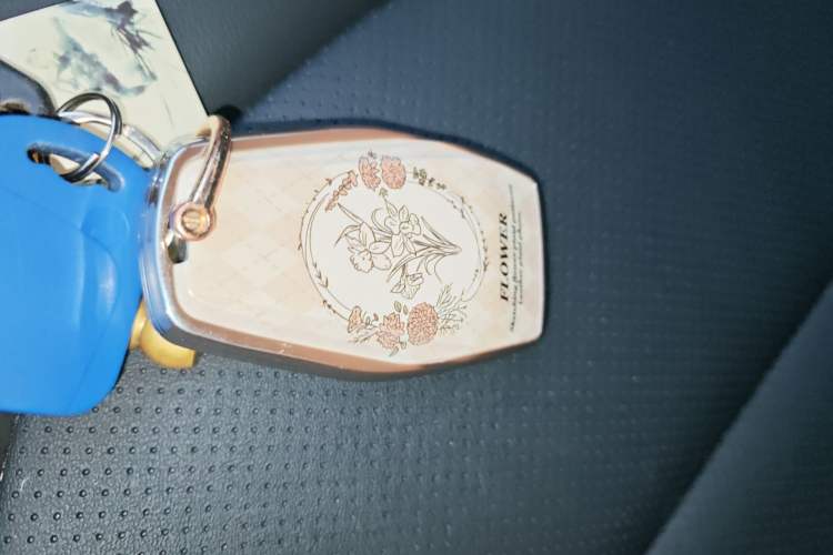 Used Geely Auto Emgrand GS 2020 1.4T CVT Ya Vehicle Key