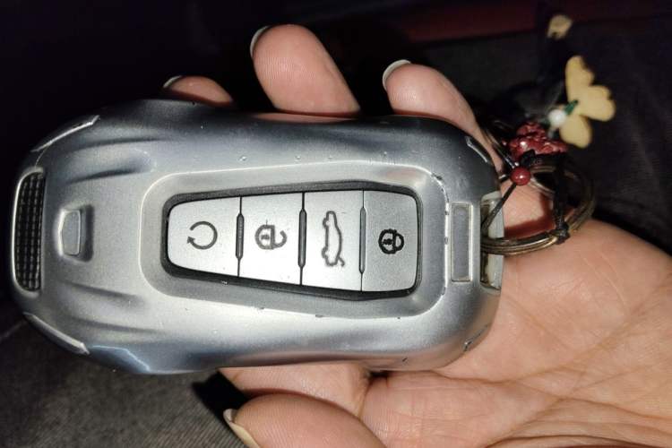 Used Geely Auto Emgrand GS 2020 1.4T CVT Ya Vehicle Key