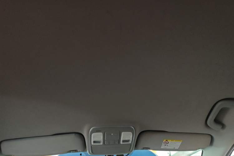 Used Geely Auto Emgrand GSe 2018 LingShang Model Headliner