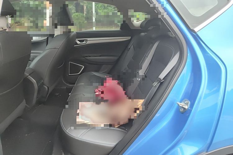 Used Geely Auto Emgrand GSe 2018 ZhenShang Model Interior 4