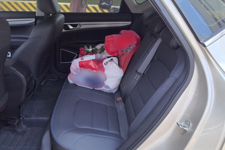 Used Geely Auto Emgrand GSe 2018 ZhenShang Model Left Rear Seat
