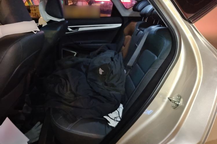 Used Geely Auto Emgrand GSe 2018 Zunshang Model Left Rear Seat