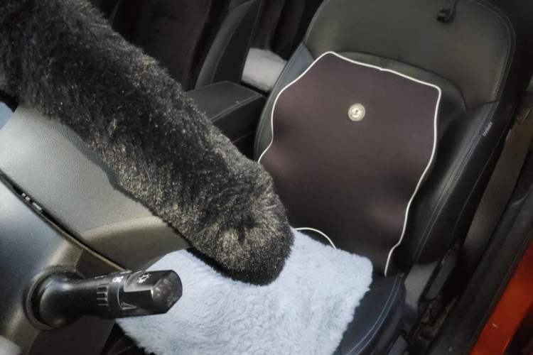 Used Geely Auto Emgrand GSe 2018 ZhenShang Model Left Front Seat