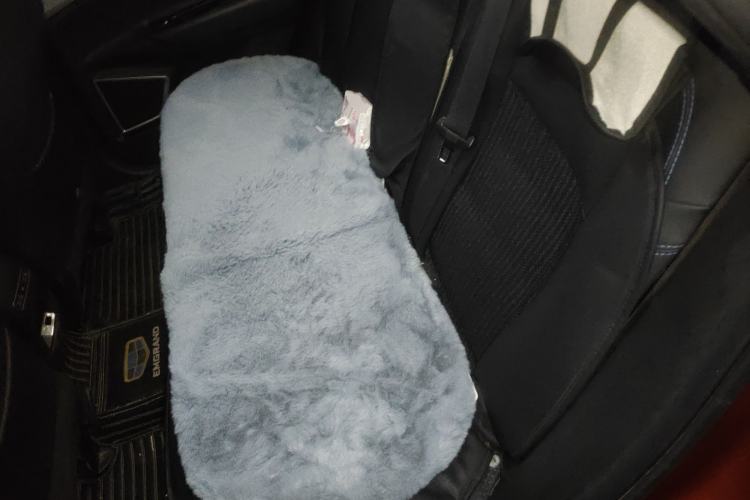 Used Geely Auto Emgrand GSe 2018 ZhenShang Model Left Rear Seat