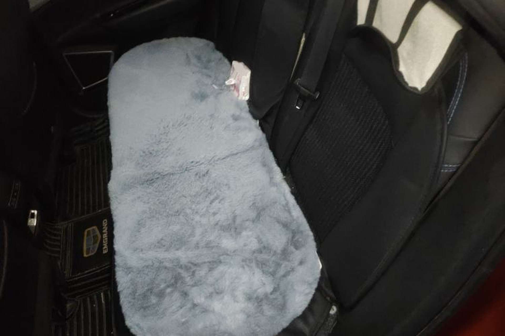 Used Geely Auto Emgrand GSe 2018 ZhenShang Model Left Rear Seat
