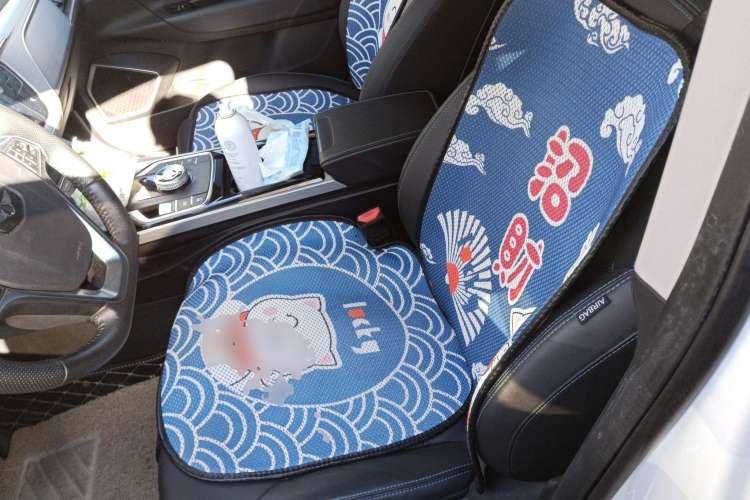 Used Geely Auto Emgrand GSe 2018 Zunshang Model Left Front Seat