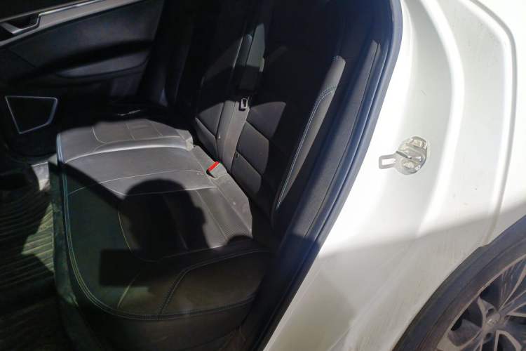 Used Geely Auto Emgrand GSe 2018 ZhenShang Model Left Rear Seat
