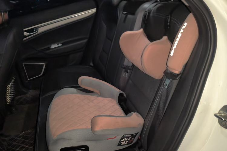 Used Geely Auto Emgrand GSe 2018 Zunshang Model Left Rear Seat