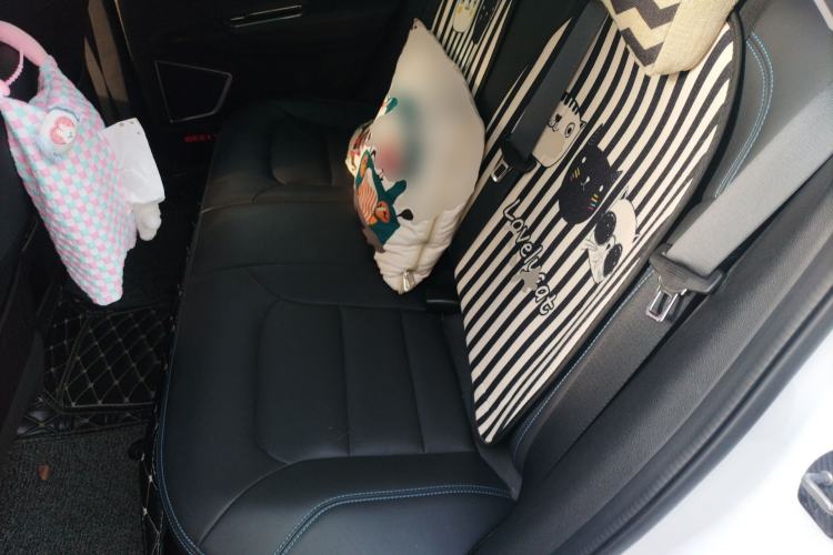 Used Geely Auto Emgrand GSe 2018 ZhenShang Model Left Rear Seat