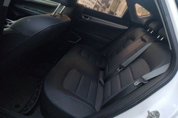 Used Geely Auto Emgrand GSe 2018 Zunshang Model Left Rear Seat