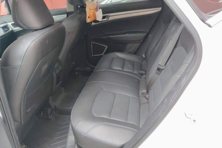 Used Geely Auto Emgrand GSe 2018 Zunshang Model Left Rear Seat