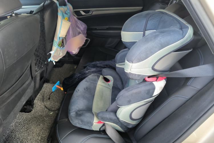 Used Geely Auto Emgrand GSe 2018 ZhenShang Model Left Rear Seat
