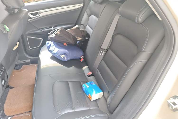 Used Geely Auto Emgrand GSe 2018 LingShang Model Left Rear Seat