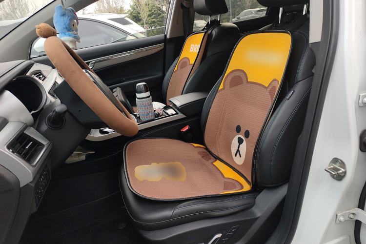 Used Geely Auto Emgrand GSe 2019 Revised Version 500 Prestige Edition Left Front Seat