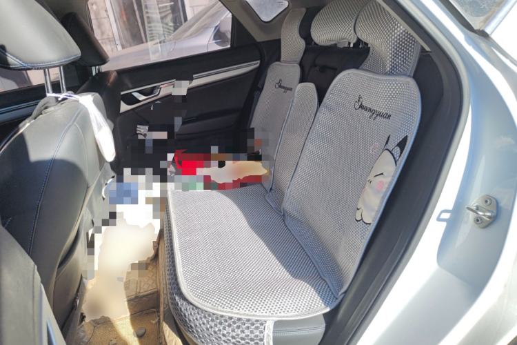 Used Geely Auto Emgrand GSe 2019 500 ZhenShang Edition Left Rear Seat