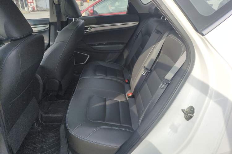 Used Geely Auto Emgrand GSe 2019 500 ZhenShang Edition Left Rear Seat