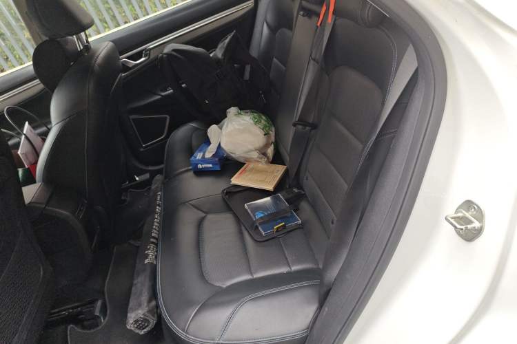 Used Geely Auto Emgrand GSe 2019 Revised Version 600 Luxury Edition Left Rear Seat