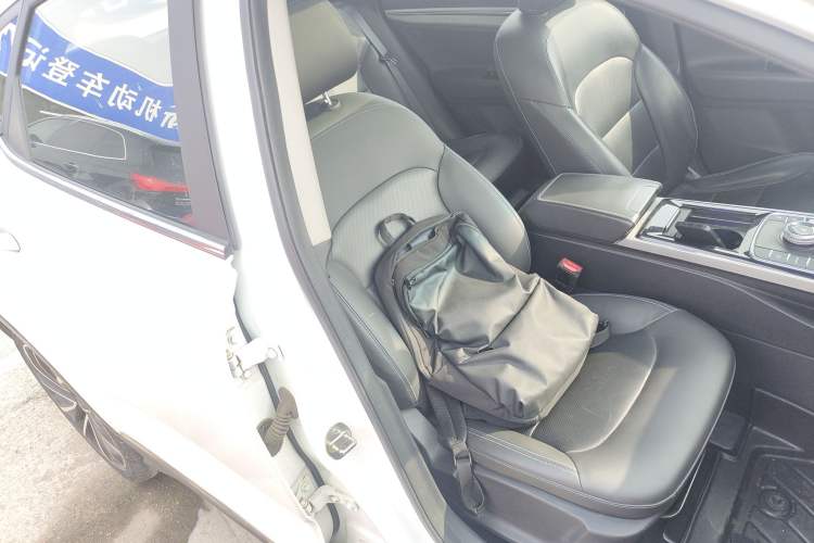 Used Geely Auto Emgrand GSe 2019 500 ZhenShang Edition Right Front Seat