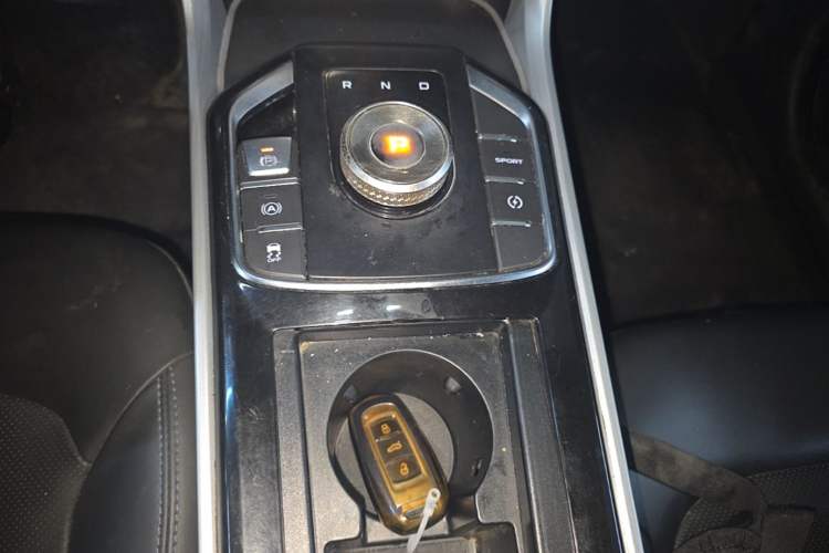 Used Geely Auto Emgrand GSe 2019 500 ZhenShang Edition Gear Lever