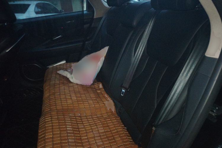 Used Geely Auto Emgrand GT 2015 1.8T Comfort Model Left Rear Seat